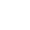 Evolución Fluxium - Sicurezza